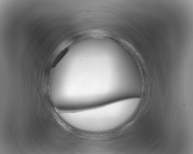 X0000082690889200701260951