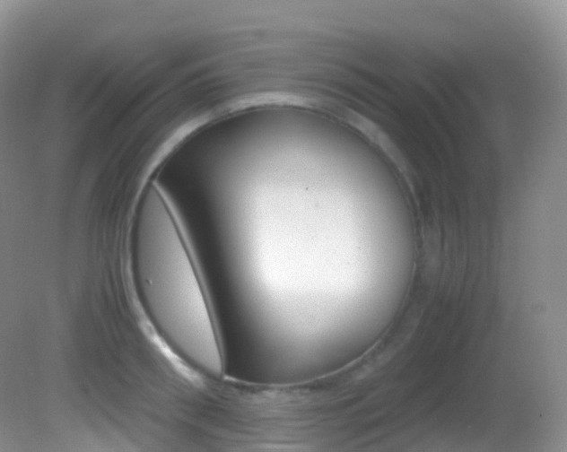 X0000082690898200701260951