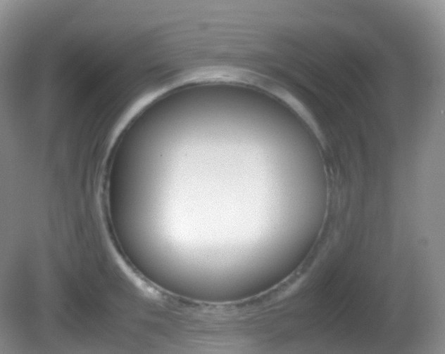 X0000082690901200701260951