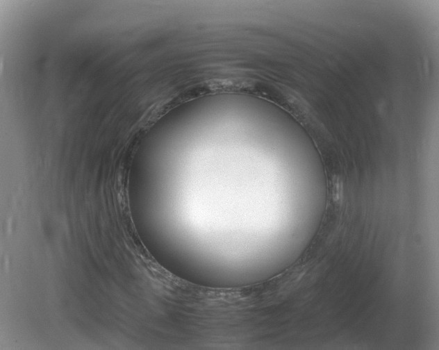 X0000082690915200701260950