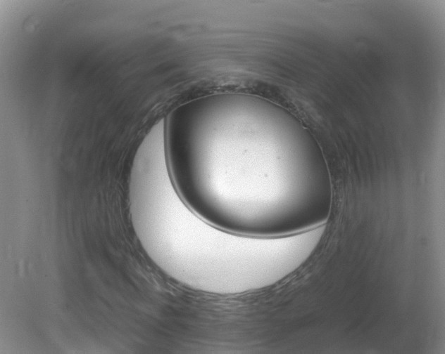 X0000082690916200701260950