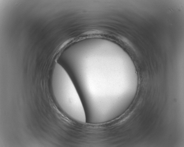 X0000082690921200701260950