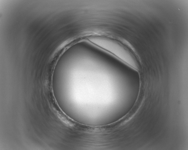 X0000082690922200701260950