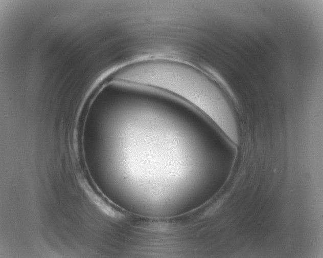 X0000082690932200701260951