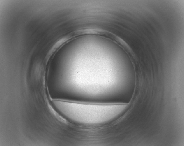 X0000082690938200701260951
