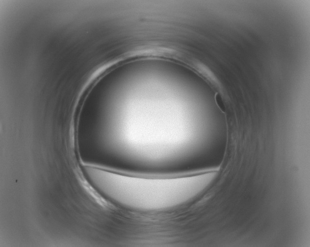 X0000082690940200701260951