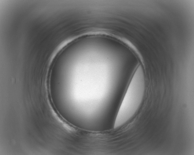X0000082690943200701260951