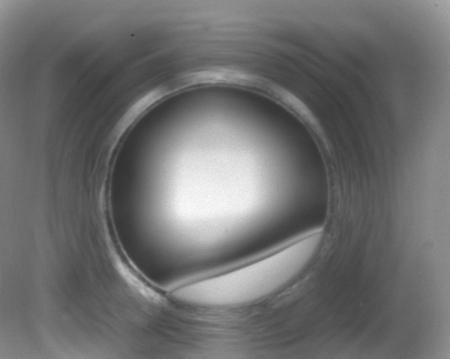 X0000082690946200701260951