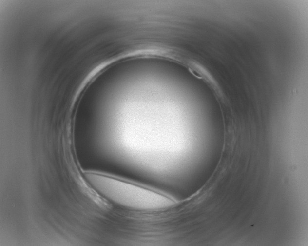 X0000082690948200701260951