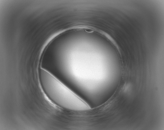 X0000082690951200701260951