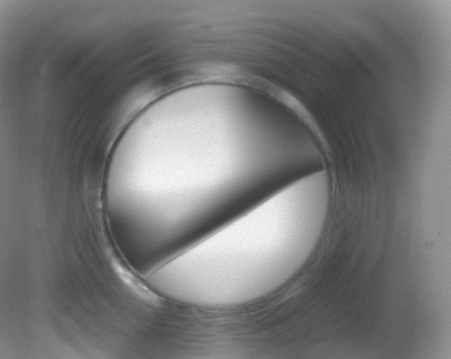X0000082690954200701260951