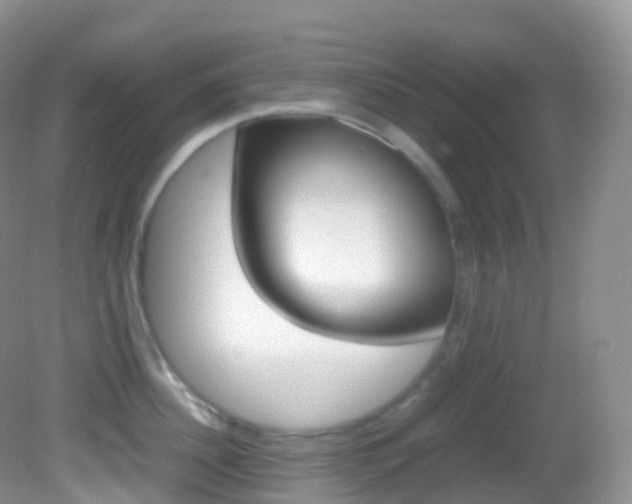 X0000082690956200701260951