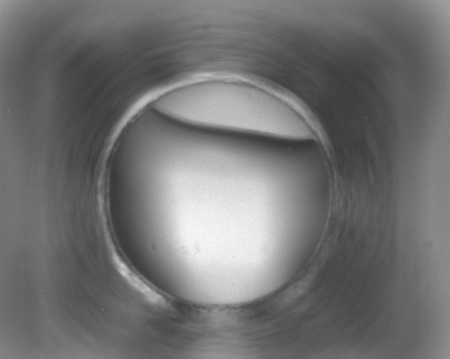 X0000082690958200701260951