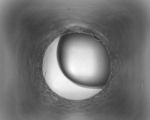 X0000082690965200701260950