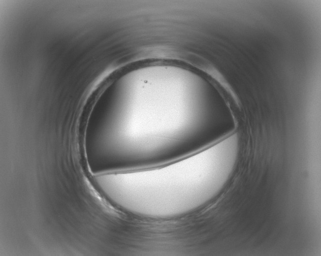 X0000082690972200701260950