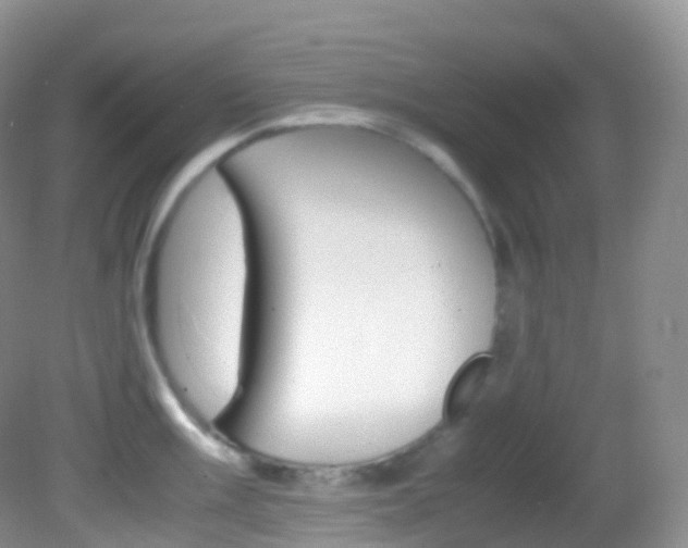 X0000082691003200701260950