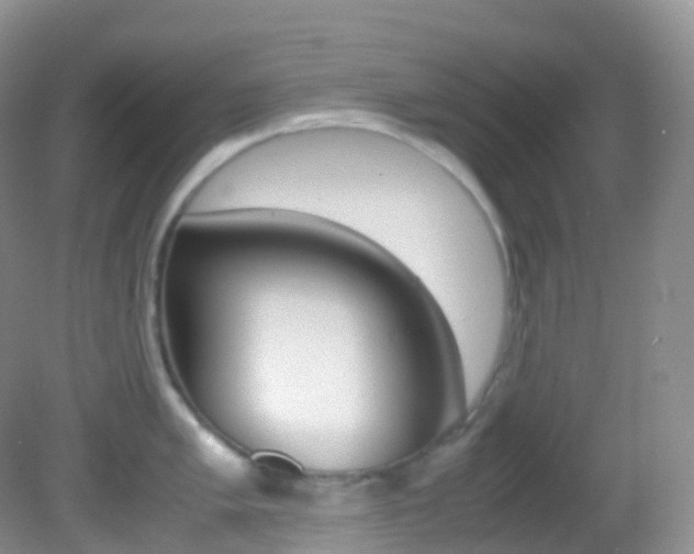 X0000082691005200701260950
