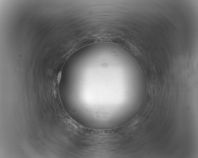 X0000082691010200701260949