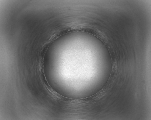 X0000082691012200701260949