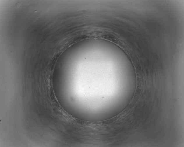 X0000082691013200701260949