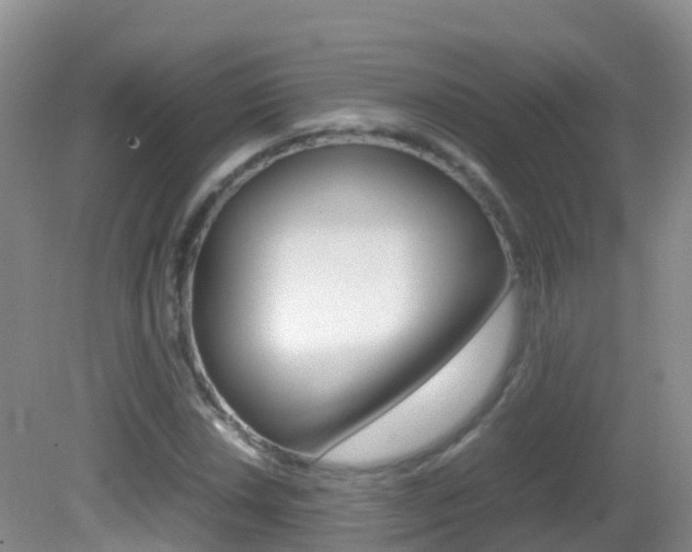 X0000082691018200701260949
