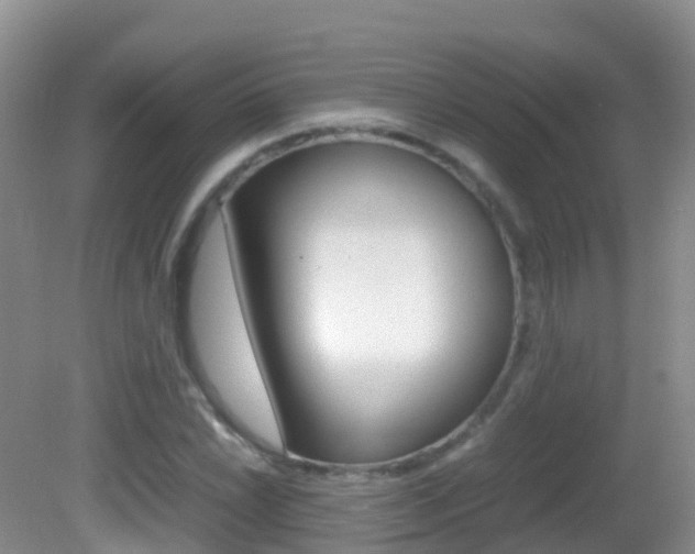 X0000082691022200701260949