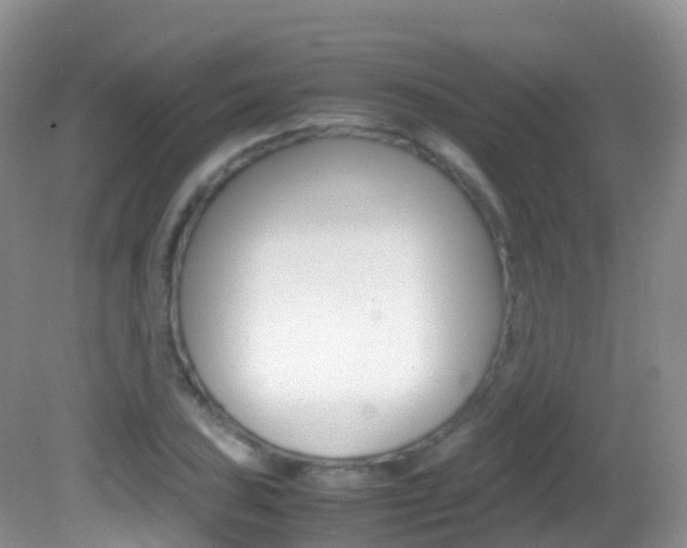X0000082691027200701260949