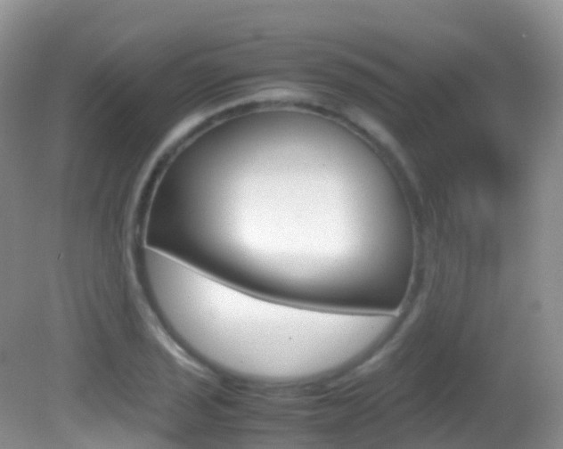 X0000082691029200701260949