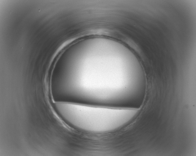 X0000082691032200701260949