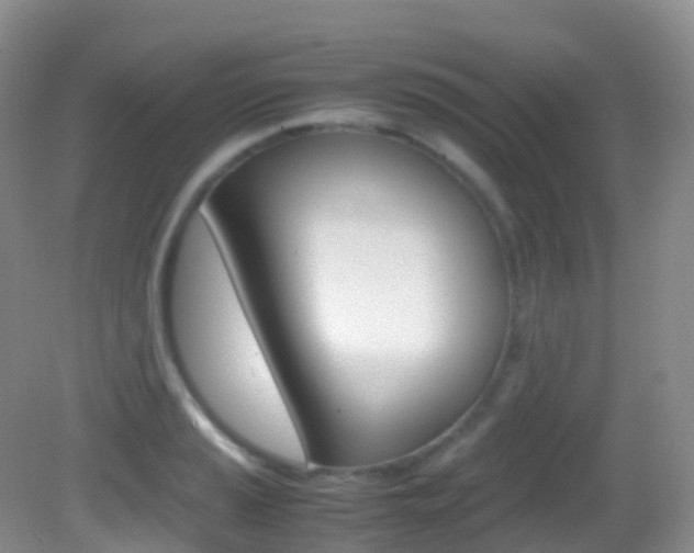 X0000082691037200701260949
