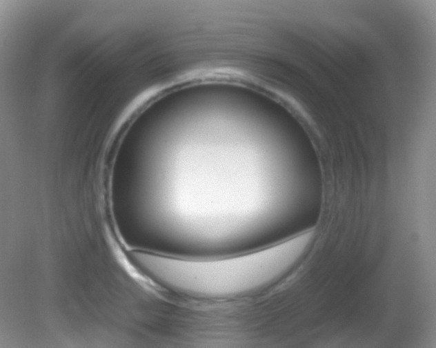 X0000082691038200701260949