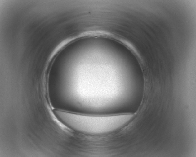 X0000082691046200701260949