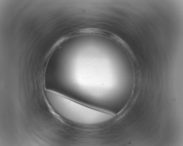 X0000082691049200701260949