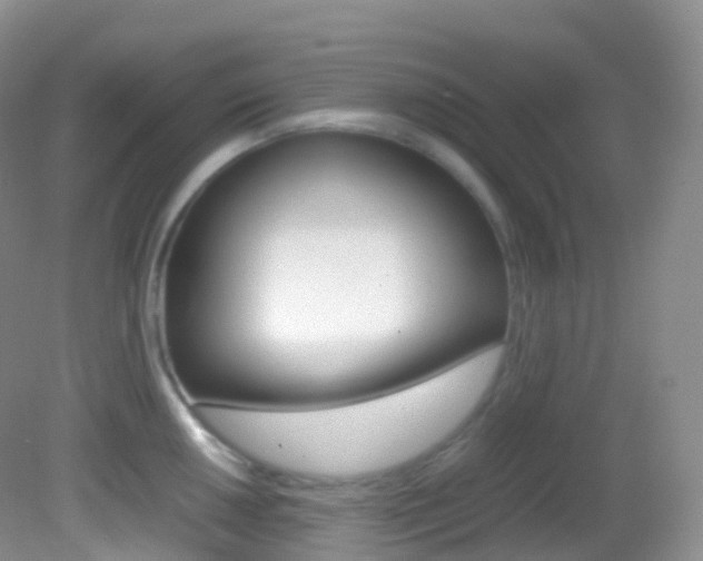 X0000082691050200701260949
