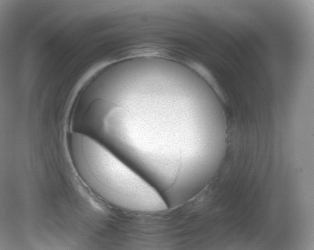 X0000082691051200701260949