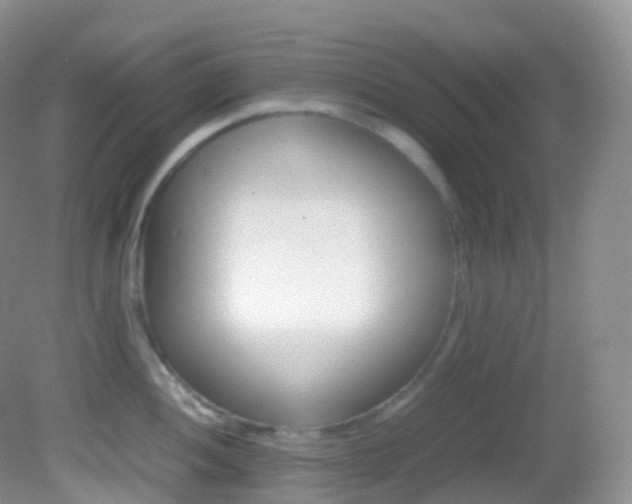 X0000082691052200701260949