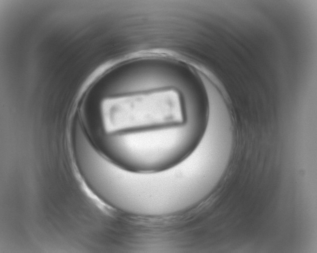 X0000082691054200701260949