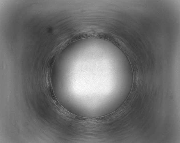 X0000082691060200701260949