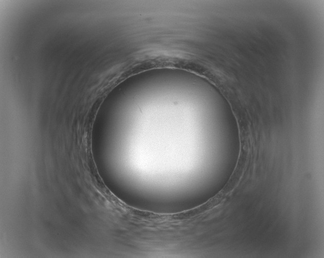 X0000082691061200701260949