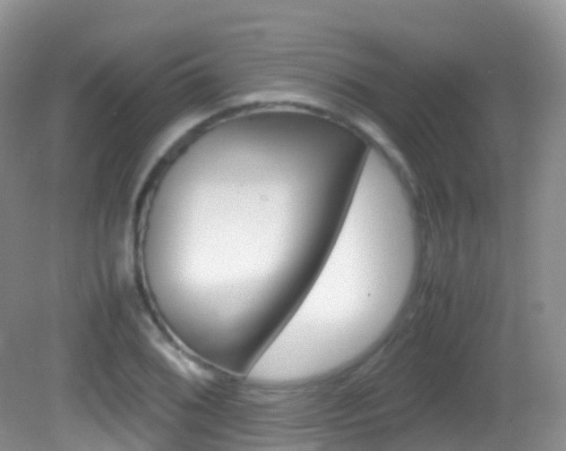 X0000082691076200701260948