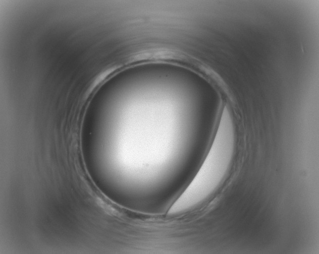X0000082691081200701260948