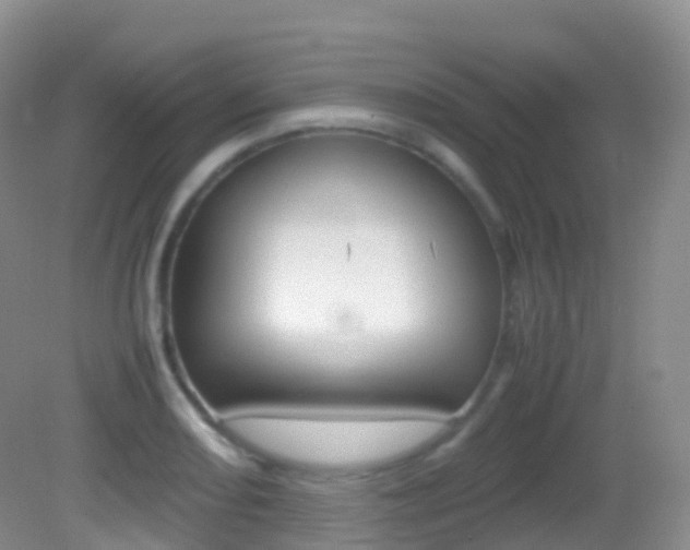 X0000082691082200701260948