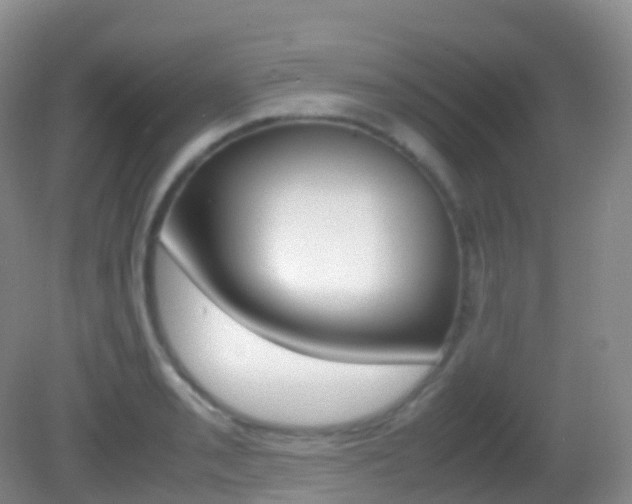 X0000082691085200701260948