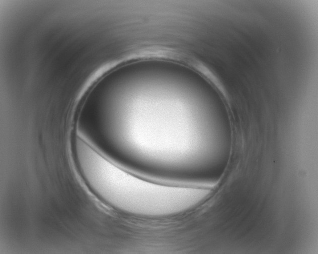 X0000082691093200701260948