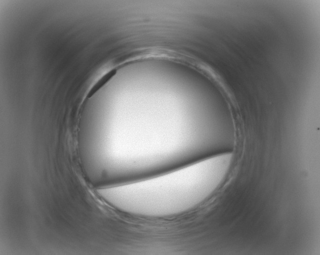 X0000082691097200701260948