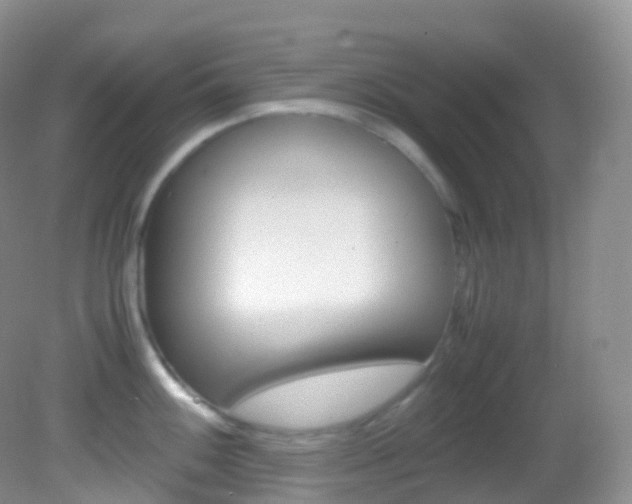 X0000082691100200701260948