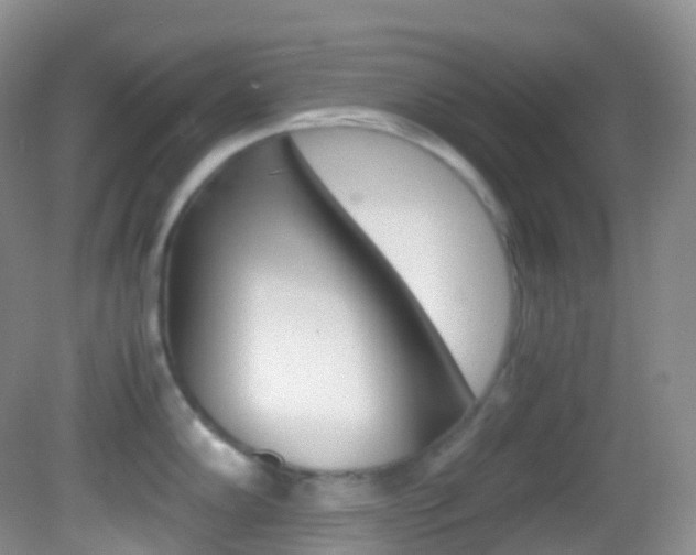 X0000082691102200701260948