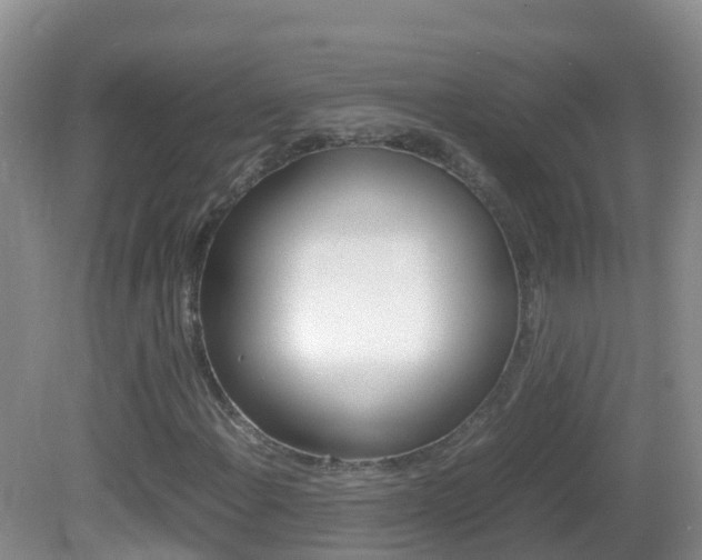 X0000082691108200701260947