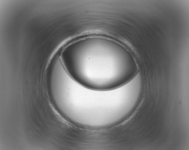X0000082691118200701260947