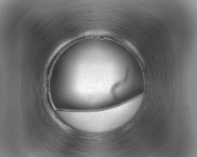 X0000082691124200701260947